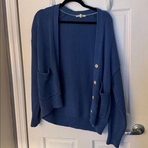 Alex Mill Blue Cardigan Small